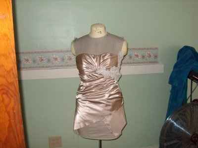 DIY dress really taking shape.  Have a look