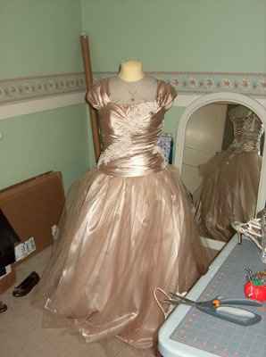 DIY dress...opinions please.  (Pics)