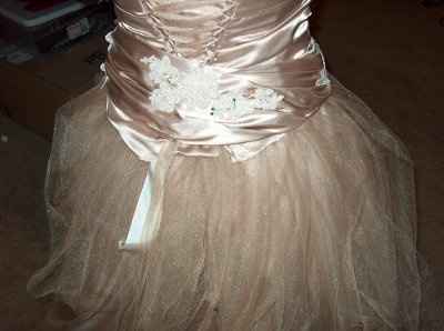 DIY dress...opinions please.  (Pics)