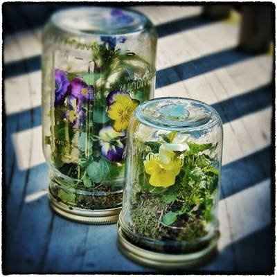 A fresh idea for the mason jar brides