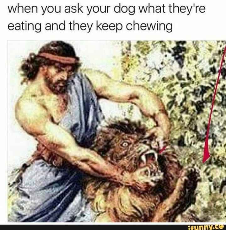 NWR: Dogs are weird and eat weird stuff