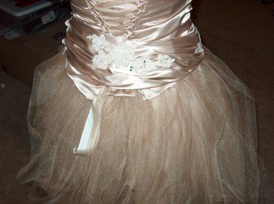 DIY dress...opinions please.  (Pics)