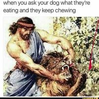 NWR: Dogs are weird and eat weird stuff