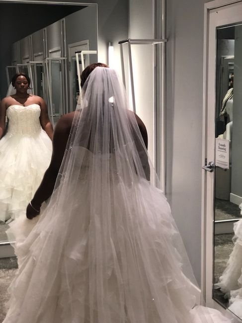 First dress shopping choices !!! - 5