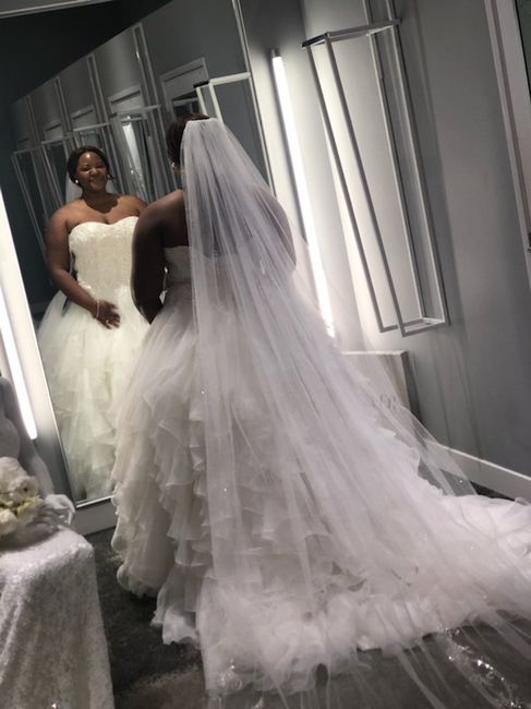 Wedding dress fear - 2