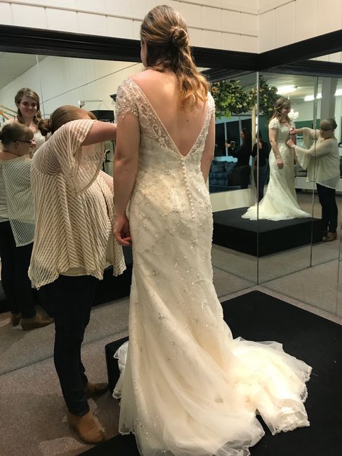 Wedding Dress doubts? 1