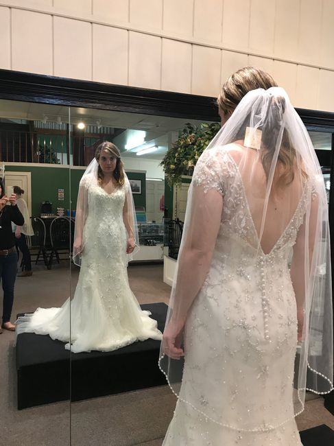 Wedding Dress doubts? 2