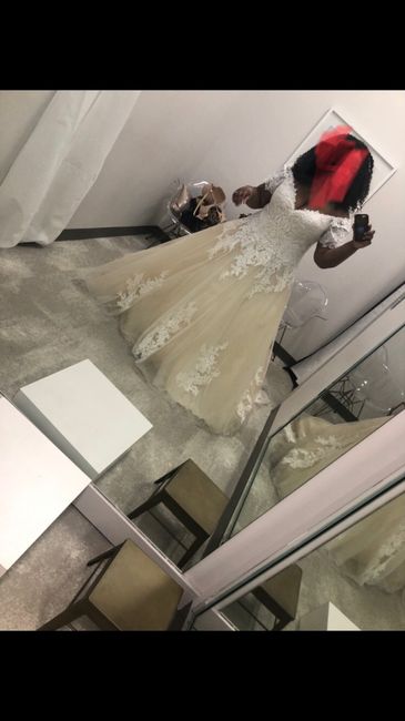 Dress Help! Please post your gowns!! 5