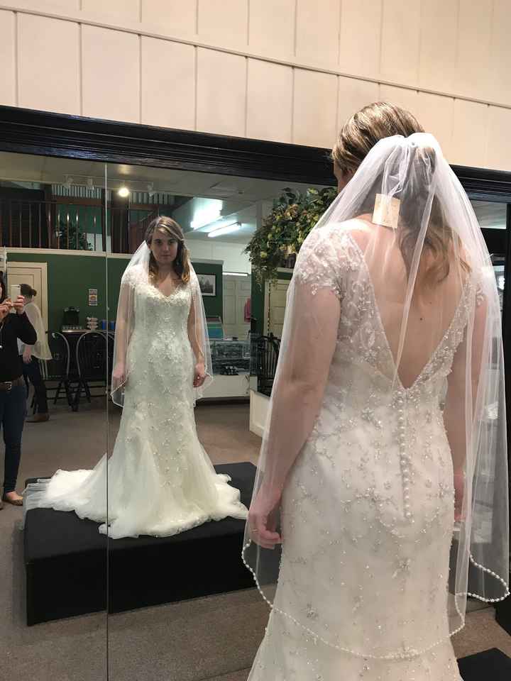 Wedding Dress doubts? - 2