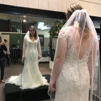 Wedding Dress doubts? - 2