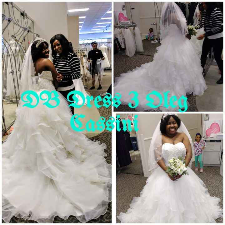 David's Bridal Dress 3 by Oleg Cassini