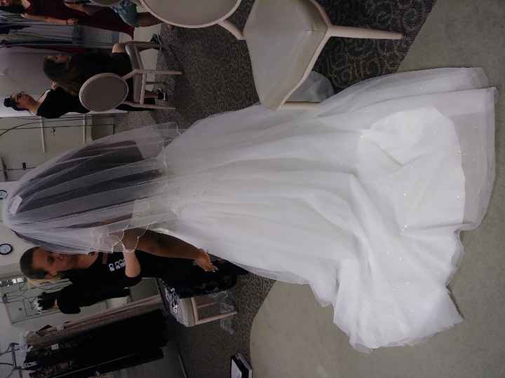 Let me see your veils!! - 1