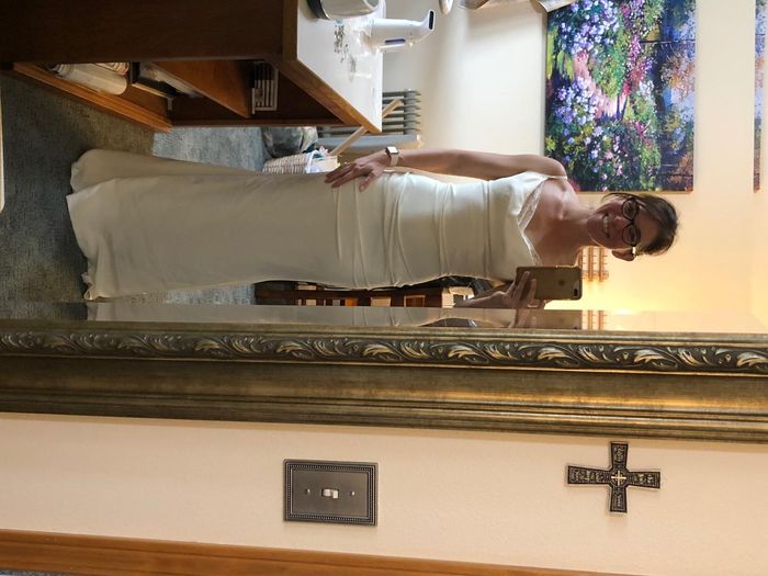 Love my dress!!!! (and the blood spot totally came out) - 2