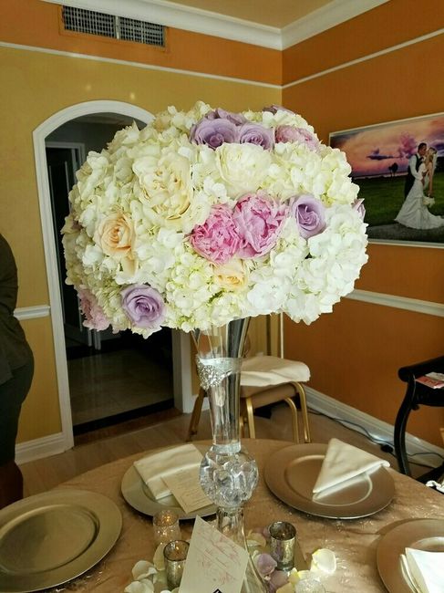Guest book - which colors?