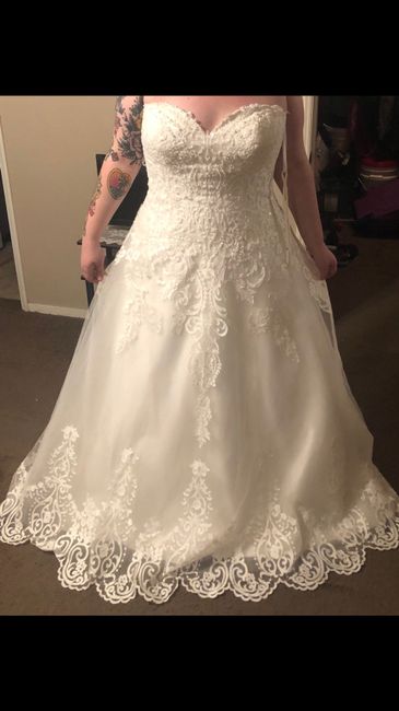 Successful Dress Alter. Appt 4