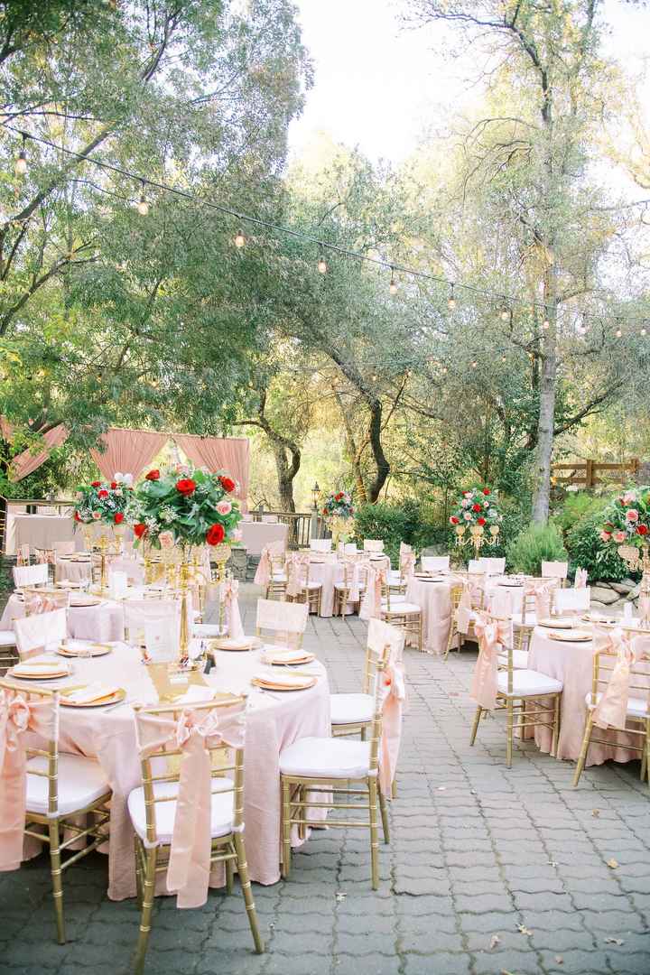 Pro Bam/budget Breakdown - 5