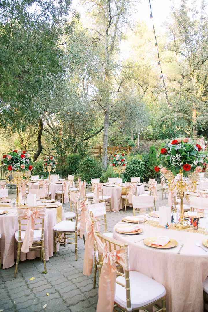 Pro Bam/budget Breakdown - 6