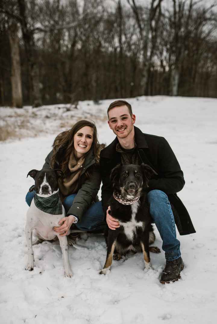 Engagement pictures - 1