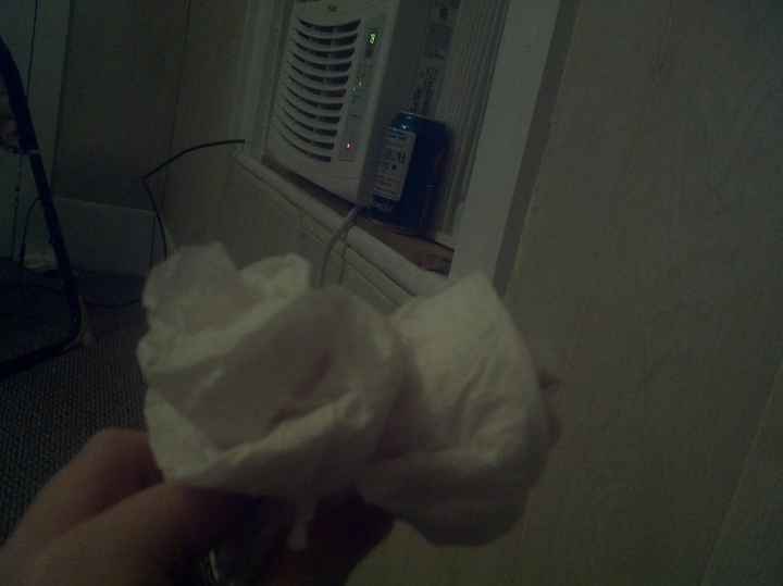 Crazy over paper roses!
