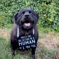 Rainbow Baby less than a year after marriage - 2