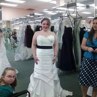 If you wonderful ladies can see through the spam I'd like to ask you something.