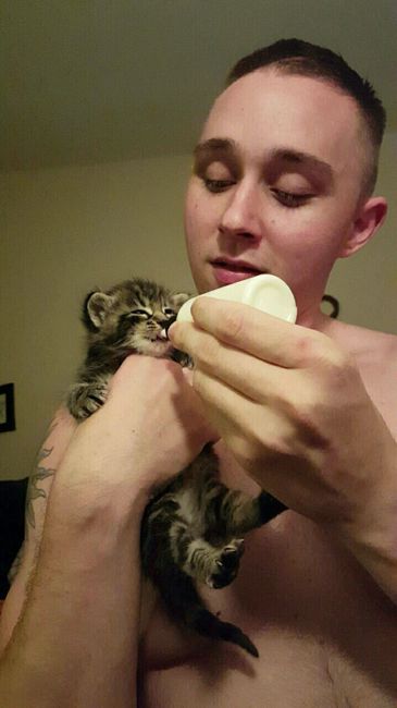 NWR: Help. 3 week old kitten?