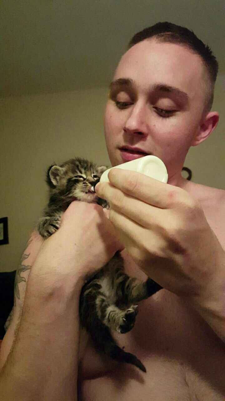 NWR: Help. 3 week old kitten?