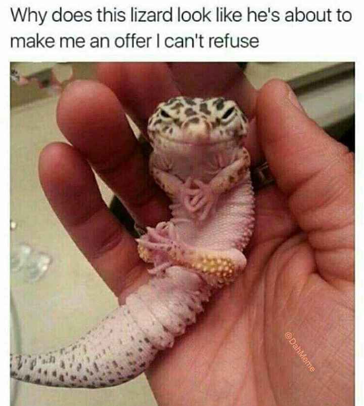 1 2 3 4 - I Declare a Meme War