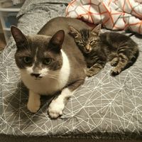 NWR: Pets on Instagram