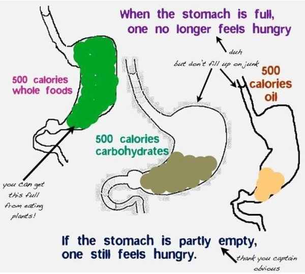 Portion Size Chart Here! Hope its of use to everyone!