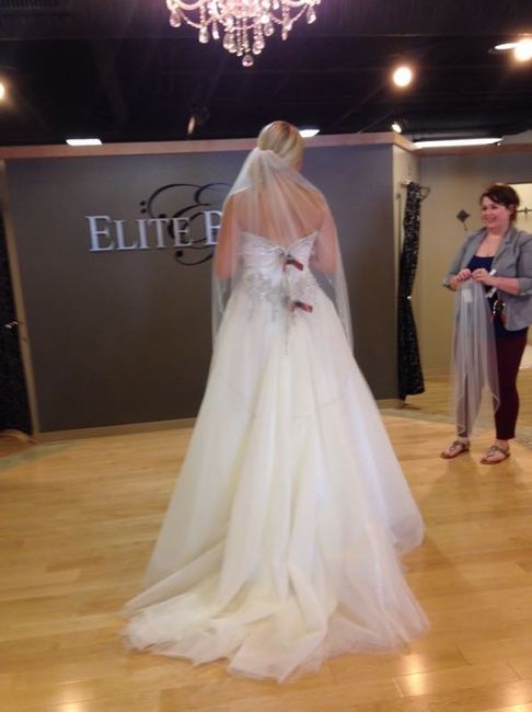 Introducing me and my dress!