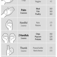 Portion Size Chart Here! Hope its of use to everyone!