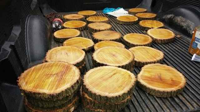 FH's DIY project....what's your FH helping with?