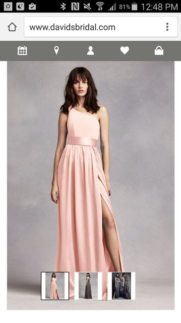 Help NEEDED on BM dress!!