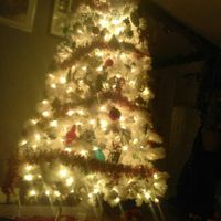 NWR-show me your Xmas trees