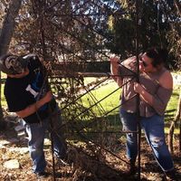 Show me your engagement photos! - 1