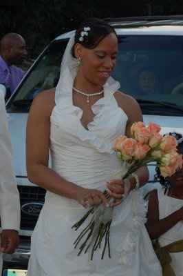 Wedding Pics
