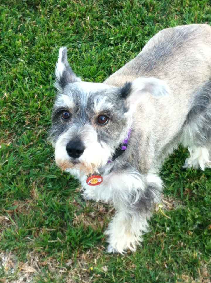 NWR: Lets See Your Fur Babies!