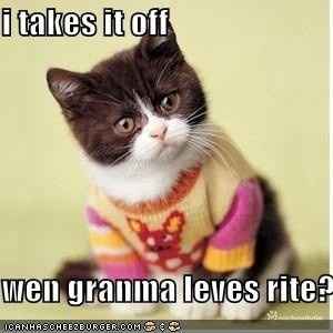 Because we could use a laugh today ...