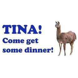 Hey! Where's Tina?!