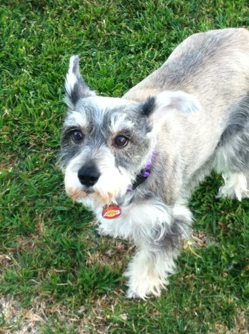 NWR: Lets See Your Fur Babies!