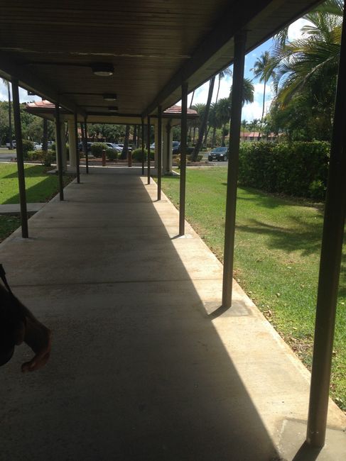 walkway poles for daytime wedding