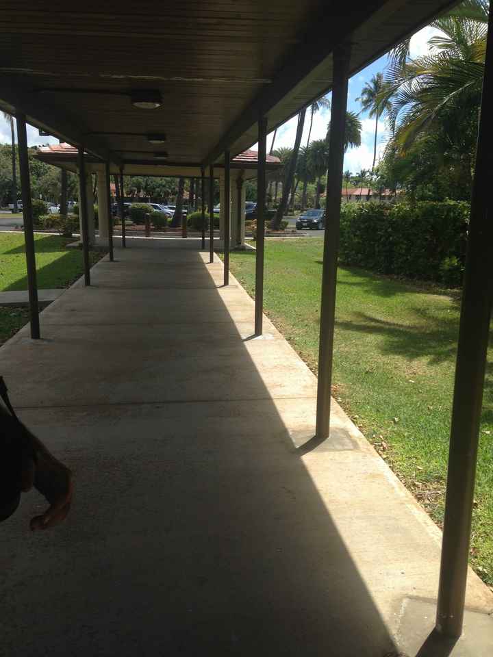 walkway poles for daytime wedding