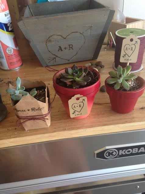 which succulent favor do you like? (pics included)