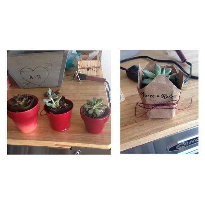 which succulent favor do you like? (pics included)