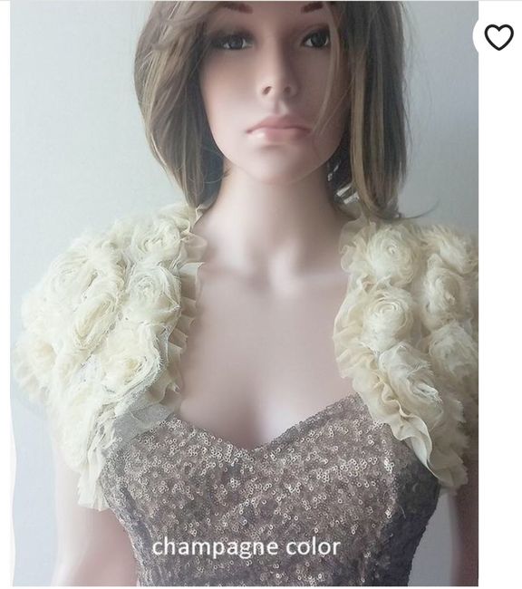 Which shrug or bolero should i get? Please pick one. 6