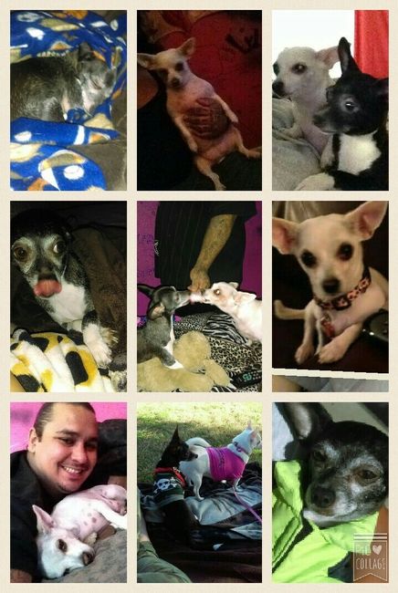 I LOVE my fur baby!
