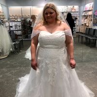 Wedding dress indecisiveness - 1