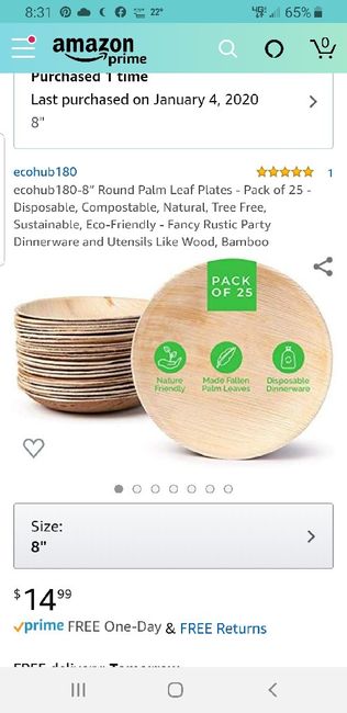 Going with Disposable Plates 1