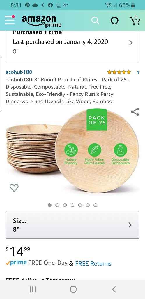 Going with Disposable Plates - 1